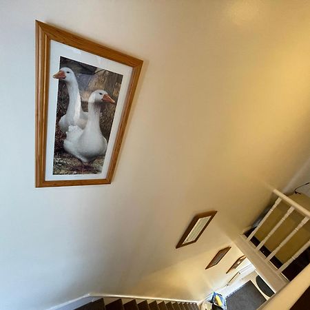 Beanies Lornestreet Four Bed House Apartment สวินดอน ภายนอก รูปภาพ