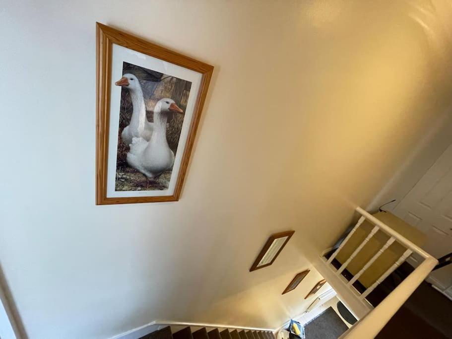 Beanies Lornestreet Four Bed House Apartment สวินดอน ภายนอก รูปภาพ